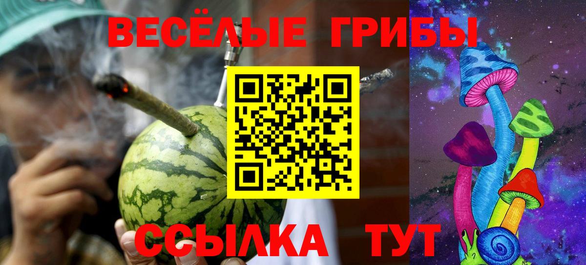 Зерноград  Псилоцибиновые грибы GOLDEN TEACHER  Вход с VPN 