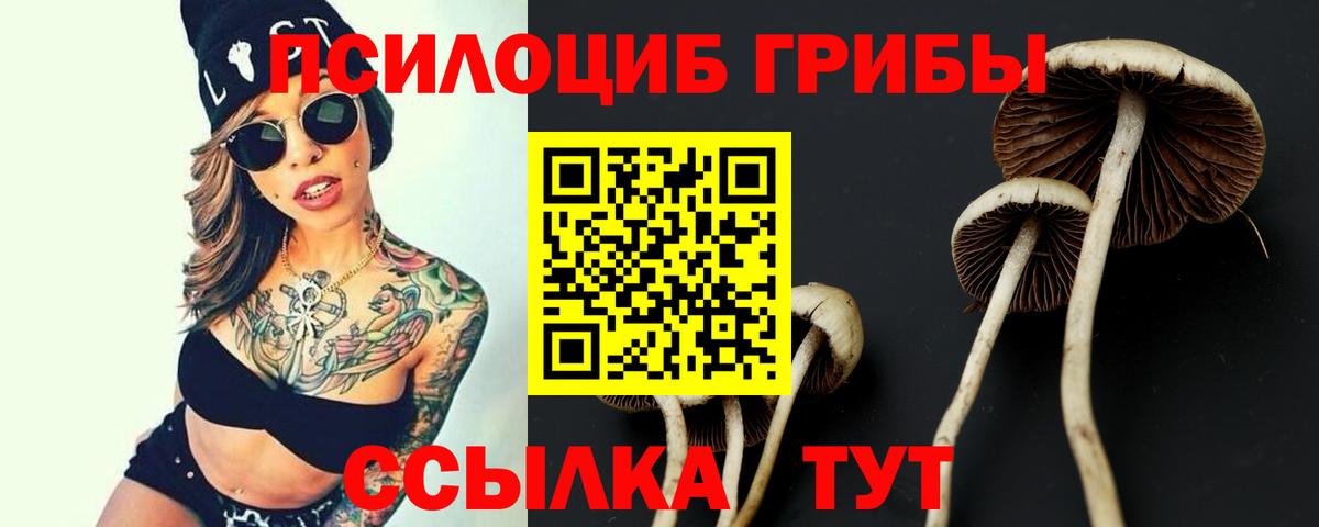 Псилоцибиновые грибы прущие грибы Зерноград
